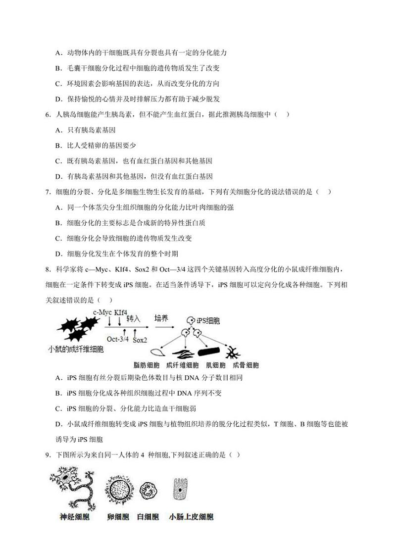 2025年高考生物一轮复习 细胞的分化 巩固练第2页