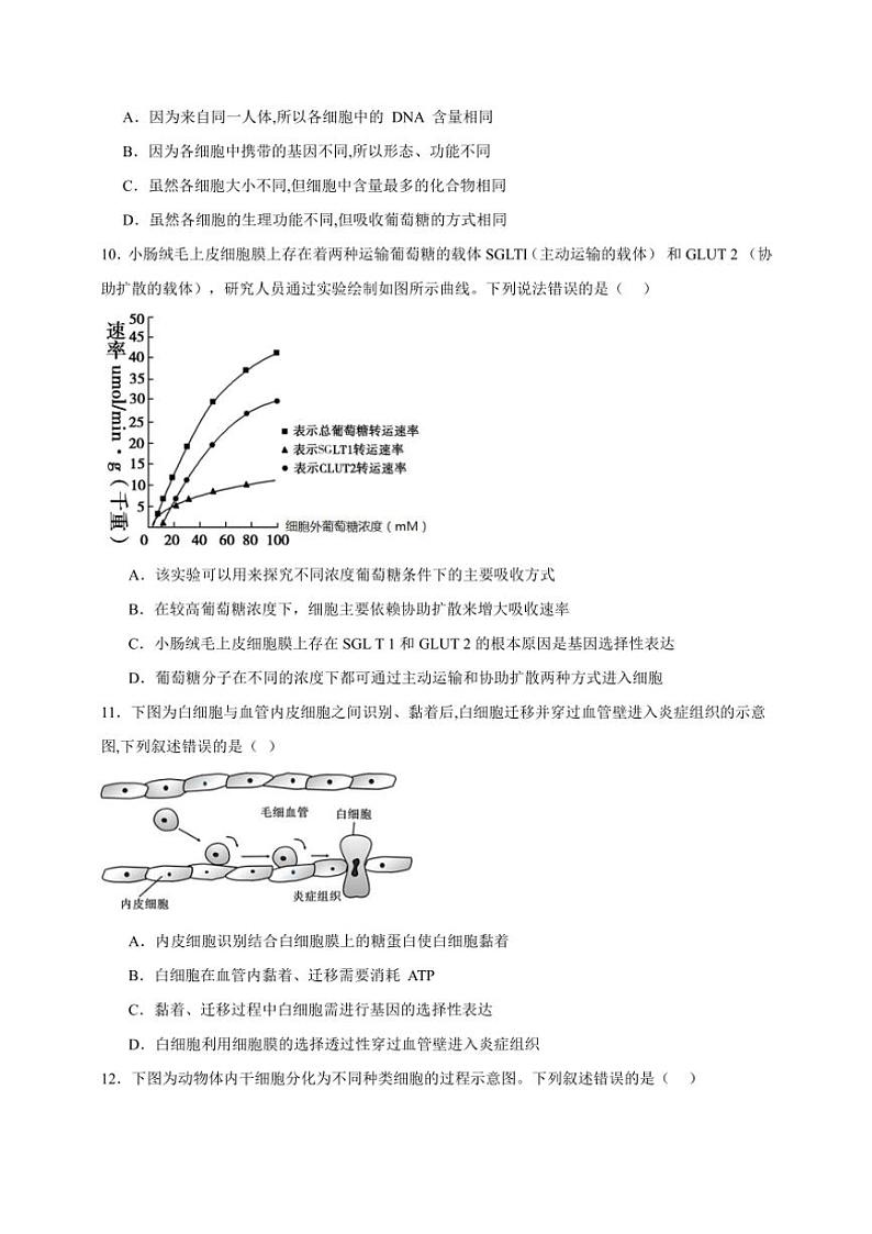 2025年高考生物一轮复习 细胞的分化 巩固练第3页