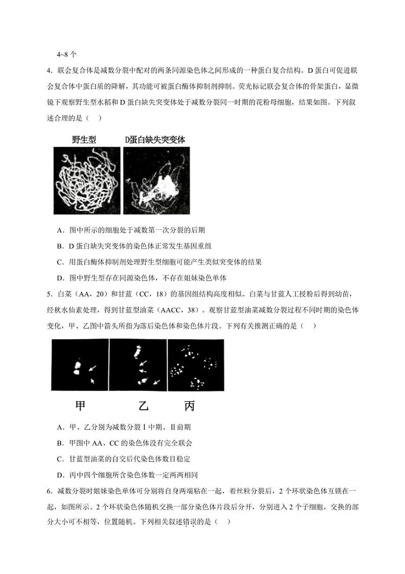 2025年高考生物一轮复习 有丝分裂和减数分裂 突破练第2页