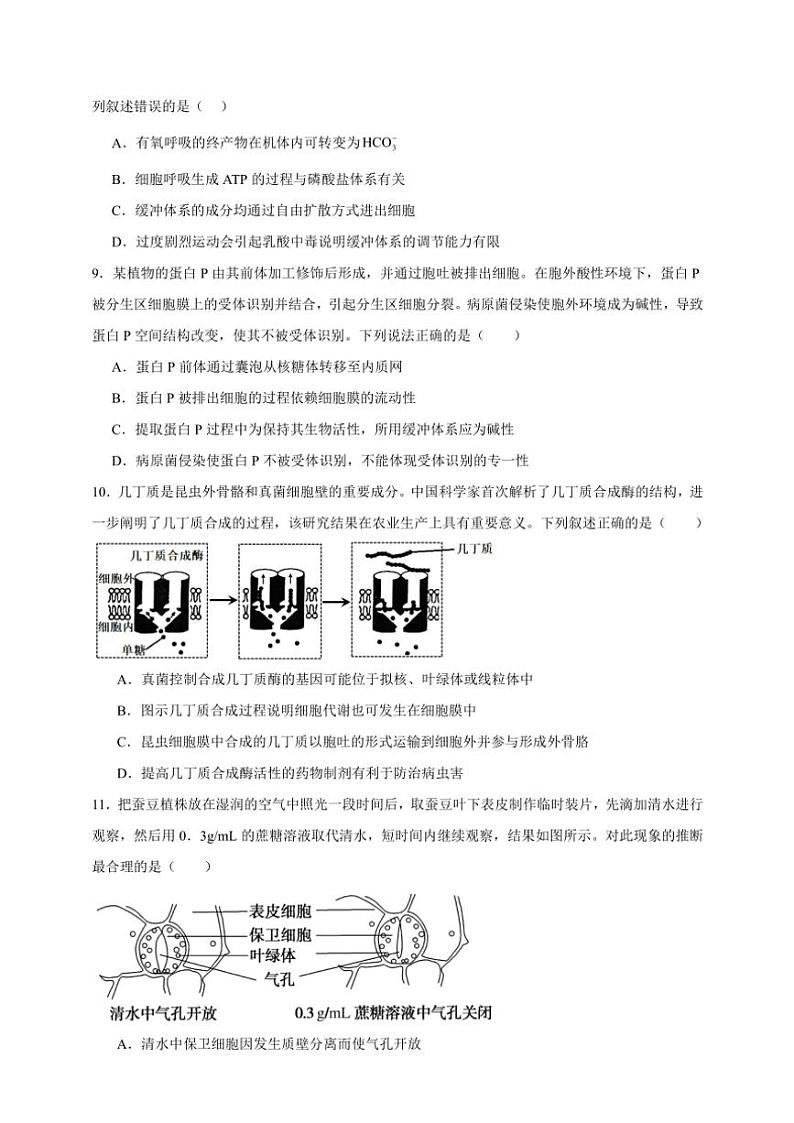2025年高考生物一轮复习 细胞的结构和功能 专题练第3页