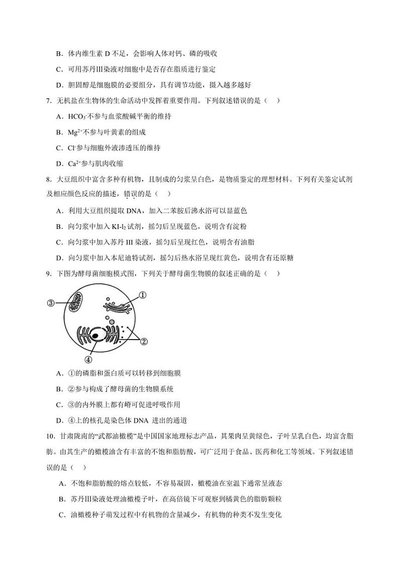 2025年高考生物一轮复习 组成细胞的分子 突破练02