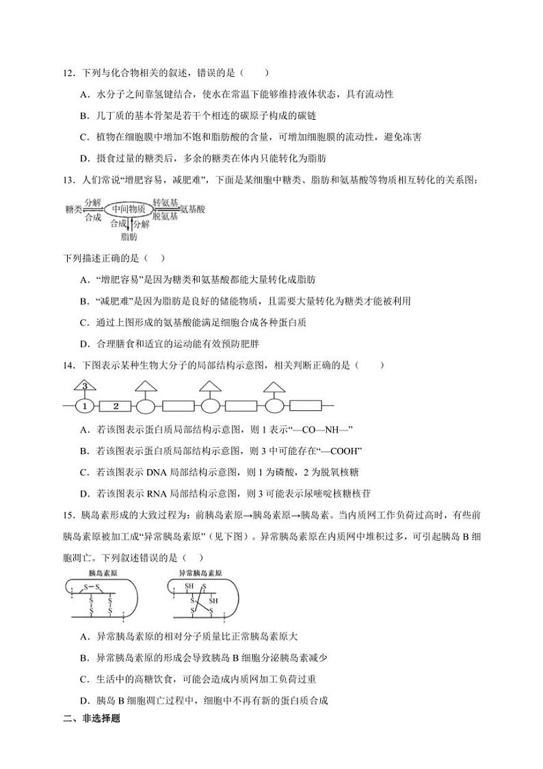 2025年高考生物一轮复习 组成细胞的分子 专题练第3页