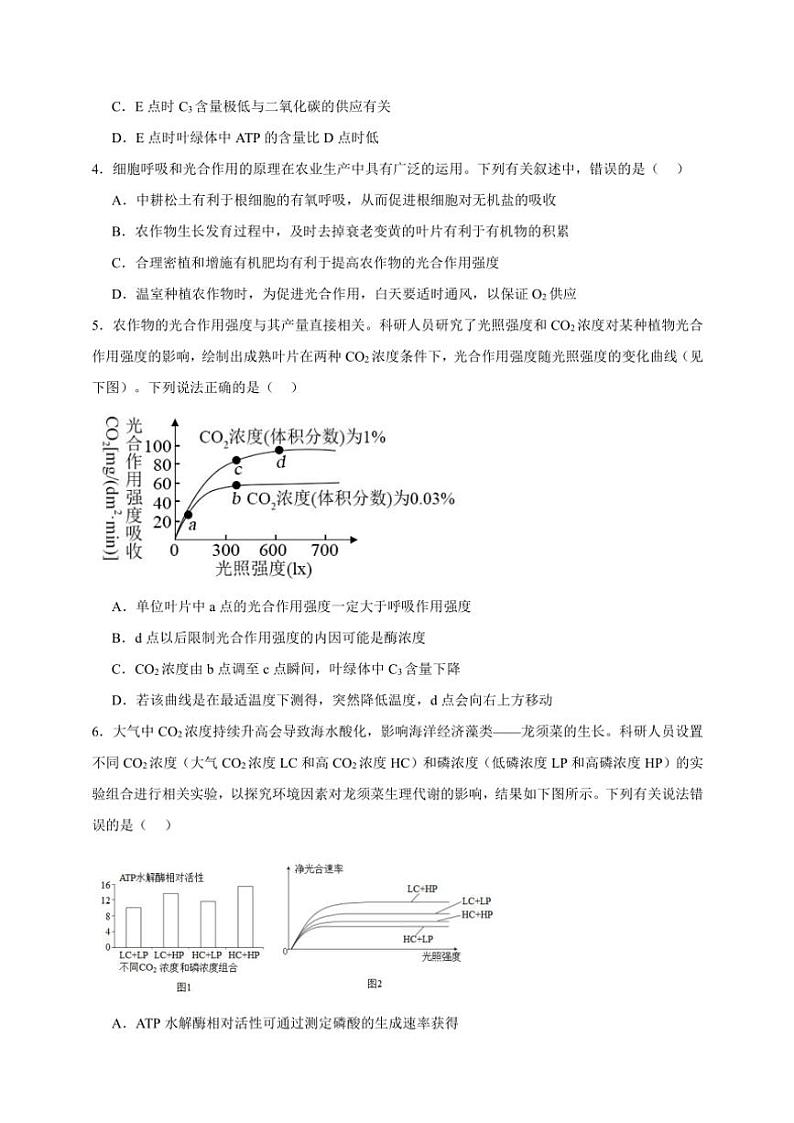 2025年高考生物一轮复习 光合作用 专项练第2页