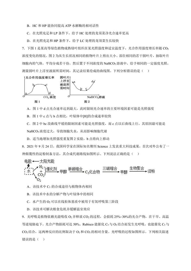 2025年高考生物一轮复习 光合作用 专项练第3页