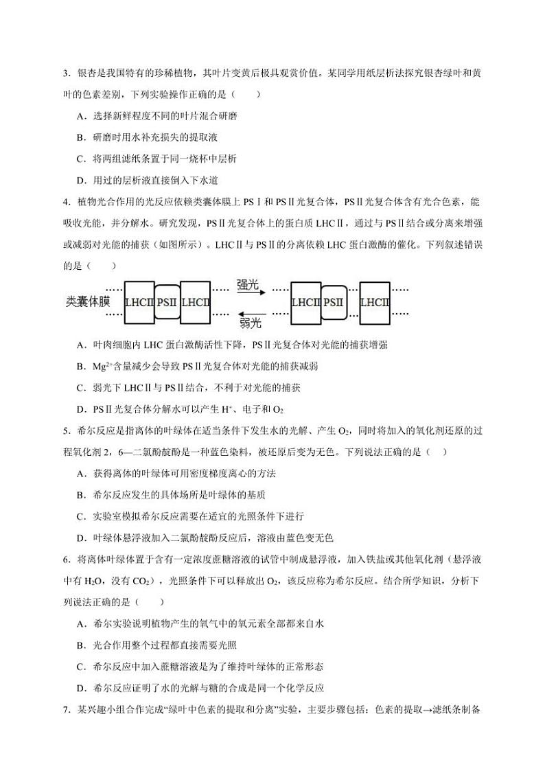 2025年高考生物一轮复习 光合作用 综合练第2页
