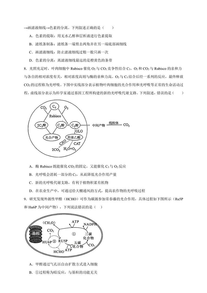 2025年高考生物一轮复习 光合作用 综合练第3页