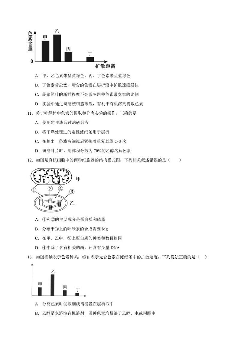 2025年高考生物一轮复习 捕获光能的色素和结构 巩固练第3页
