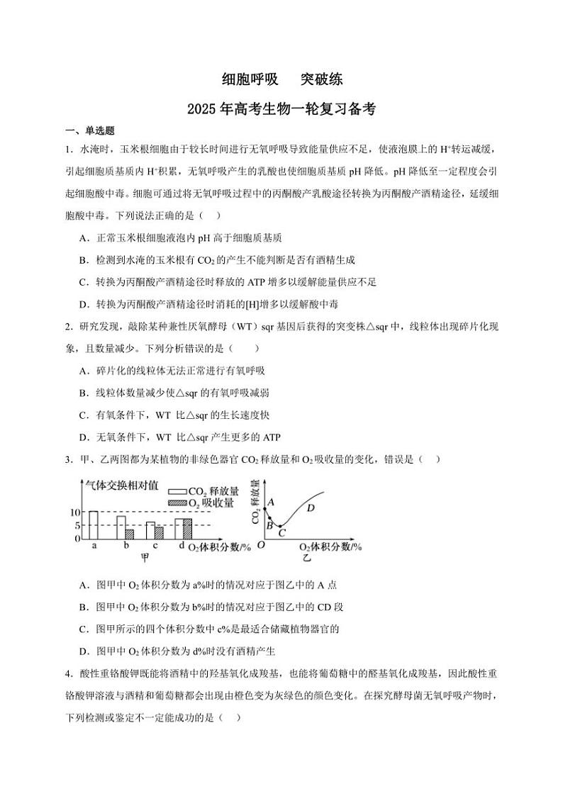 2025年高考生物一轮复习 细胞呼吸 突破练第1页