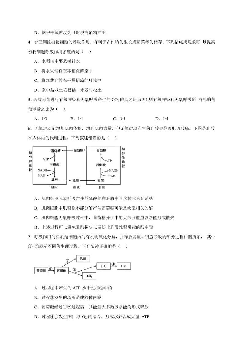 2025年高考生物一轮复习 细胞呼吸 巩固练第2页