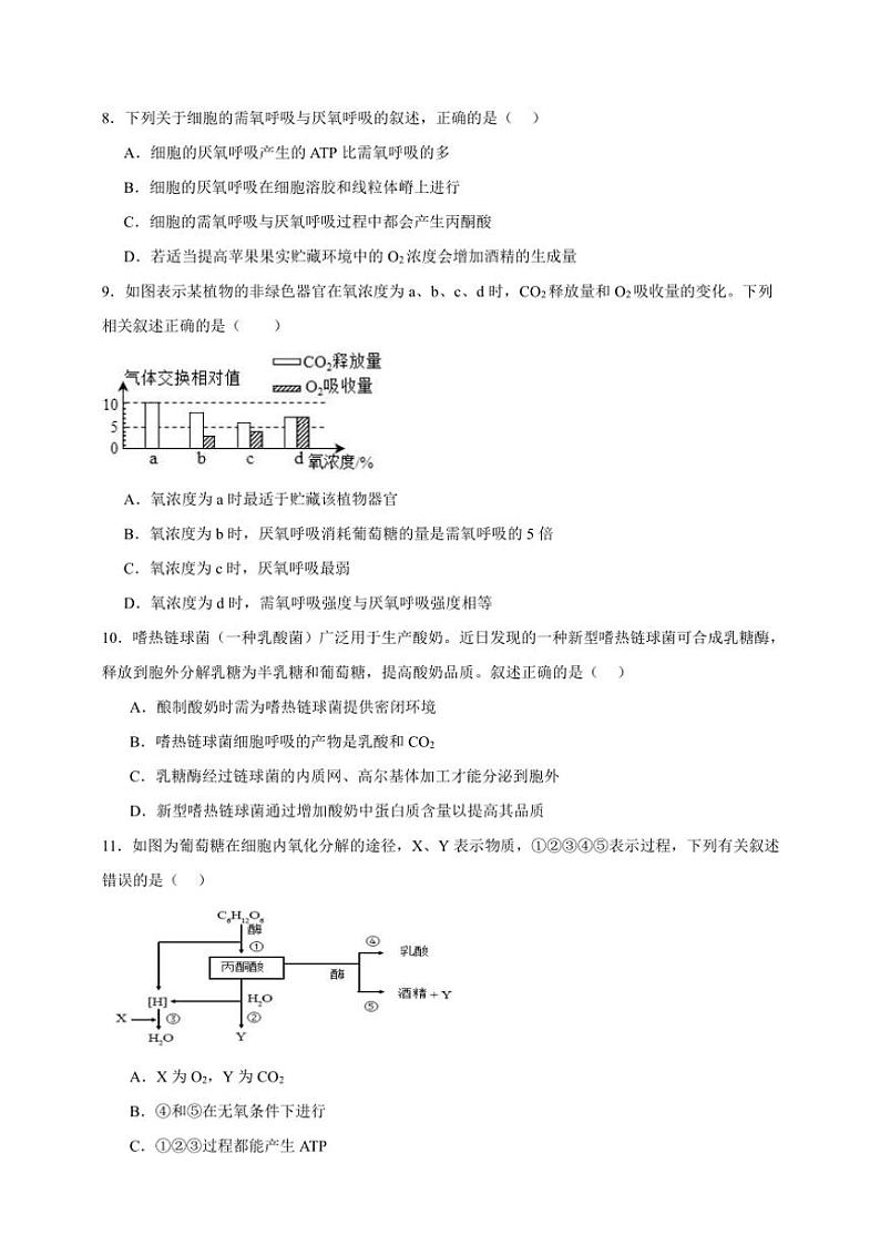 2025年高考生物一轮复习 细胞呼吸 巩固练第3页