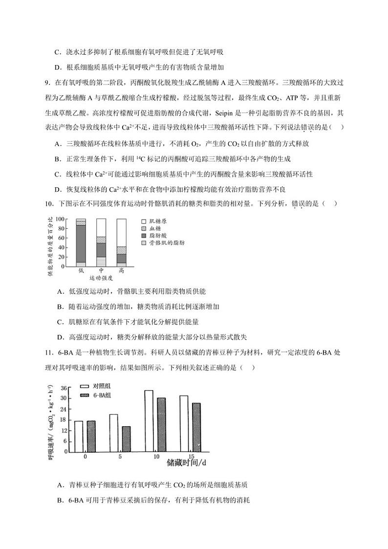 2025年高考生物一轮复习 细胞呼吸 专题练第3页
