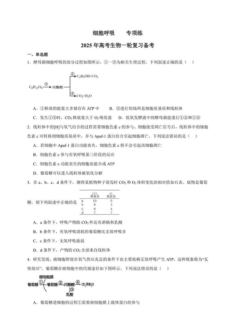 2025年高考生物一轮复习 细胞呼吸 专项练第1页