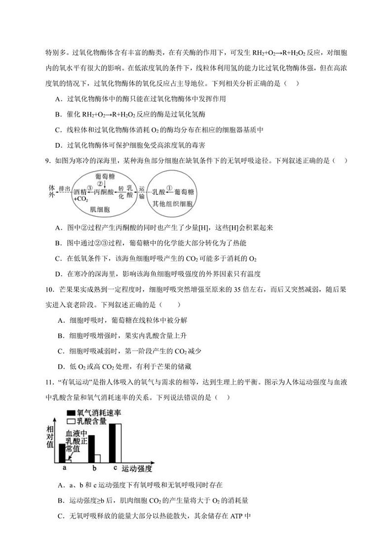 2025年高考生物一轮复习 细胞呼吸 专项练第3页