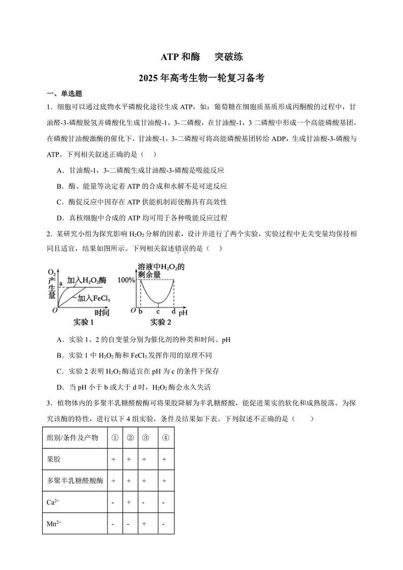 2025年高考生物一轮复习 ATP和酶 突破练01