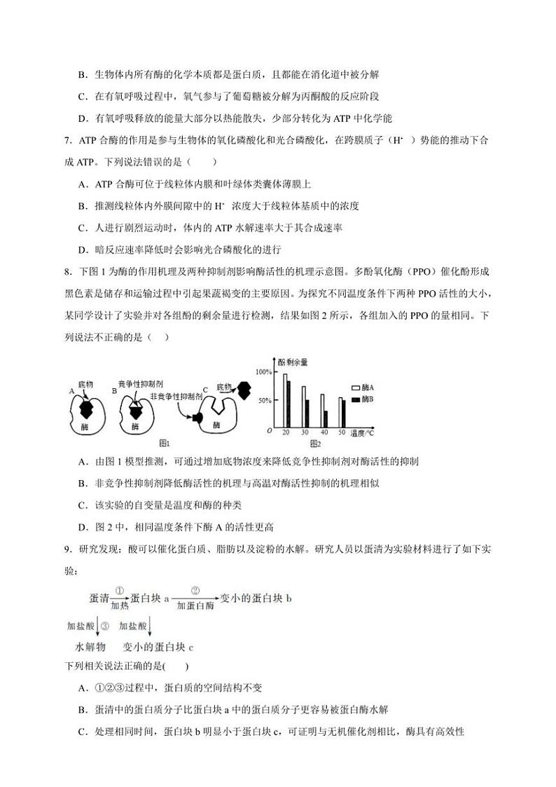 2025年高考生物一轮复习 ATP和酶 突破练03