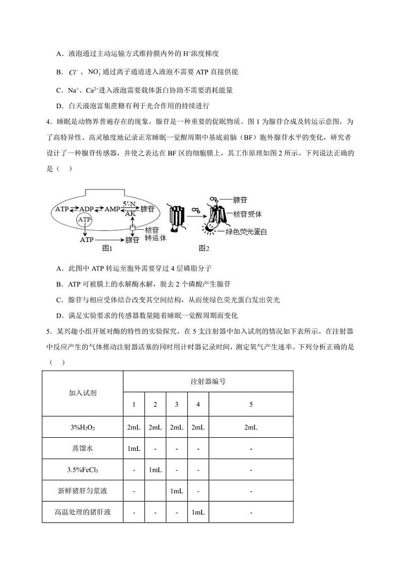 2025年高考生物一轮复习 ATP和酶 专题练第2页