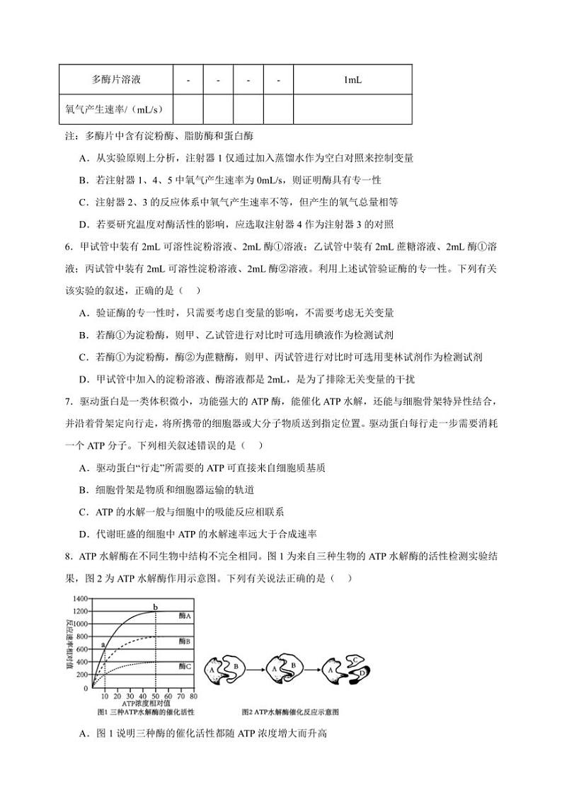 2025年高考生物一轮复习 ATP和酶 专题练第3页