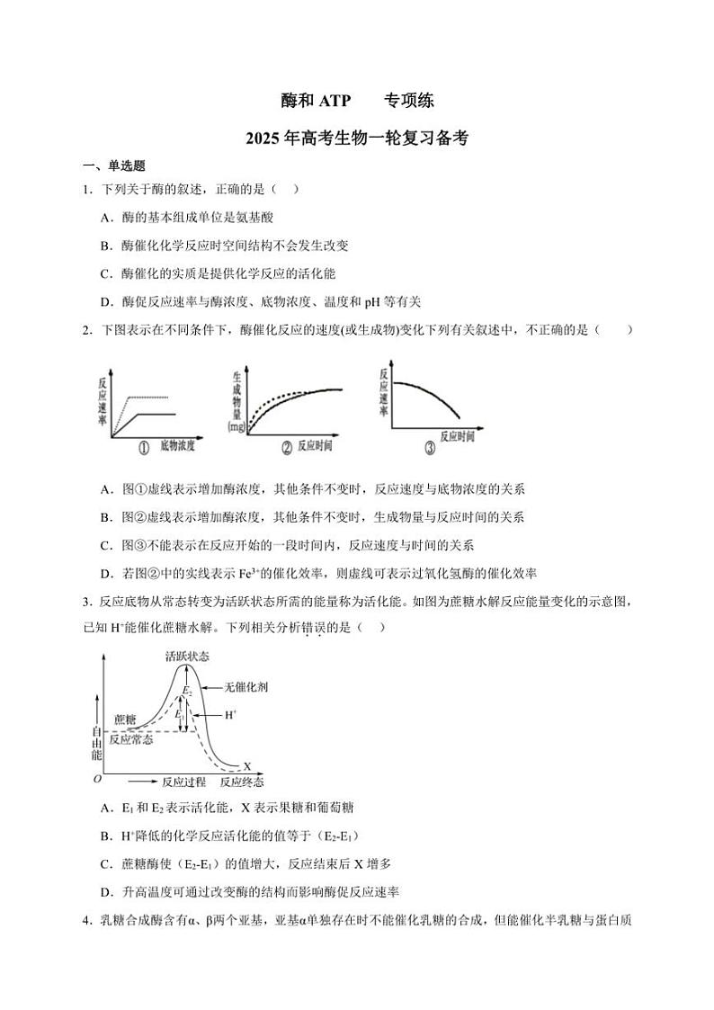 2025年高考生物一轮复习 酶和ATP 专项练01