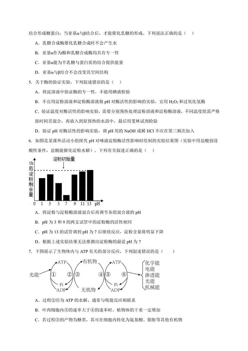 2025年高考生物一轮复习 酶和ATP 专项练02