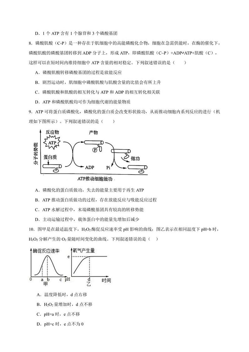 2025年高考生物一轮复习 酶和ATP 专项练03