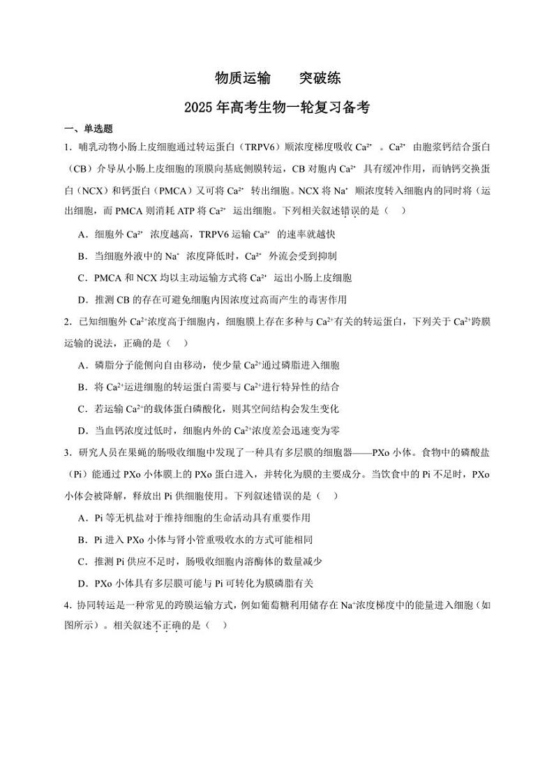 2025年高考生物一轮复习 物质运输 突破练01