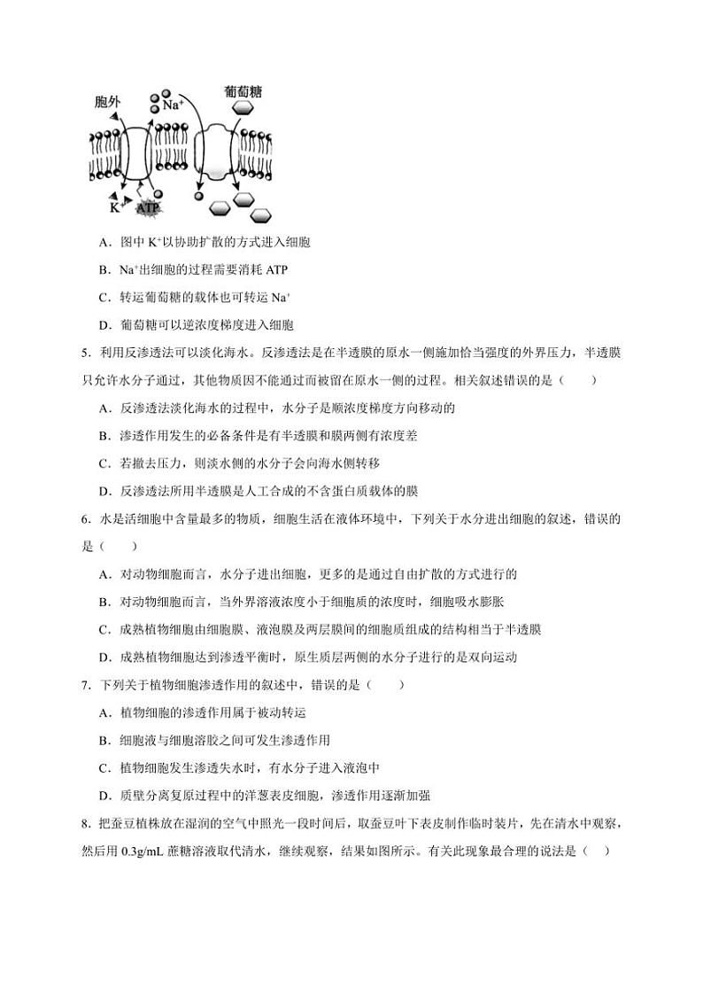 2025年高考生物一轮复习 物质运输 突破练02