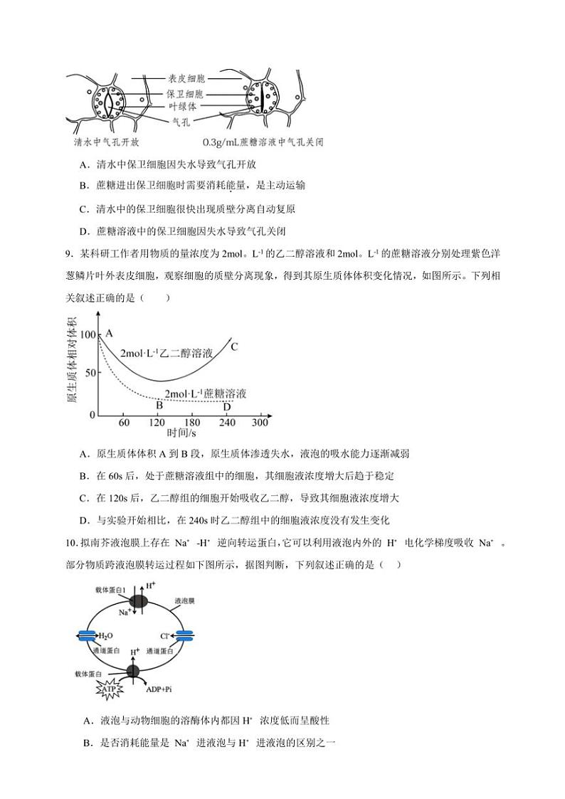 2025年高考生物一轮复习 物质运输 突破练03
