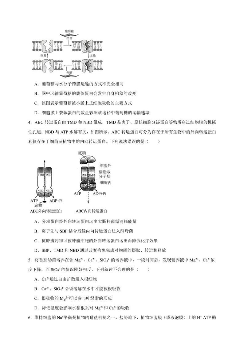 2025年高考生物一轮复习 物质运输 专题练02