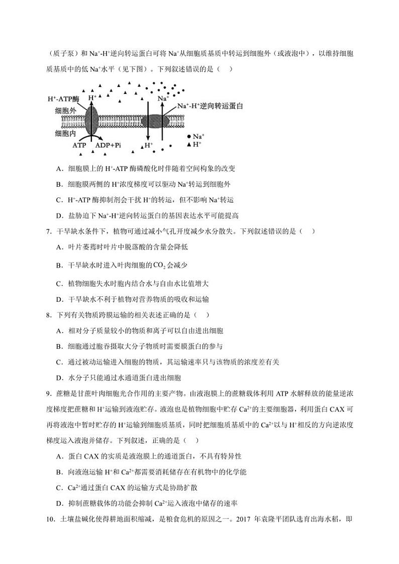 2025年高考生物一轮复习 物质运输 专题练03
