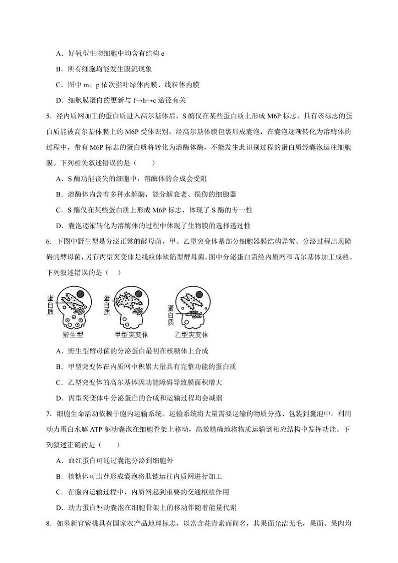 2025年高考生物一轮复习 细胞器和生物膜系统 专项练第2页