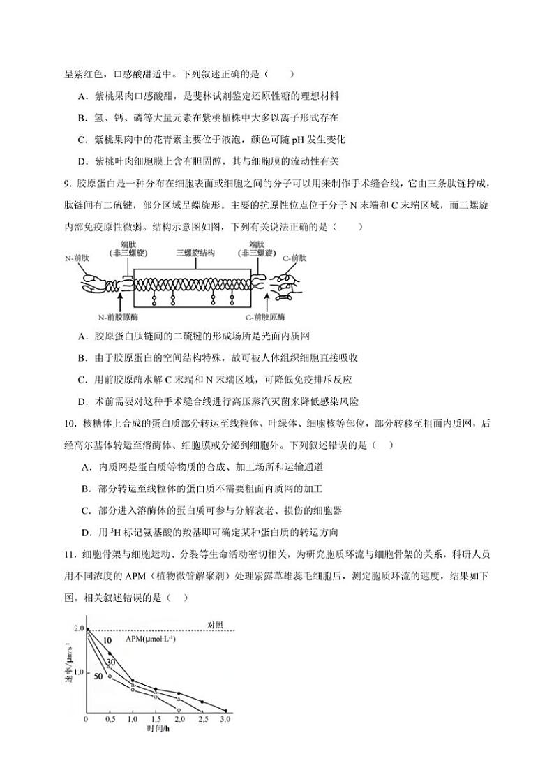 2025年高考生物一轮复习 细胞器和生物膜系统 专项练第3页