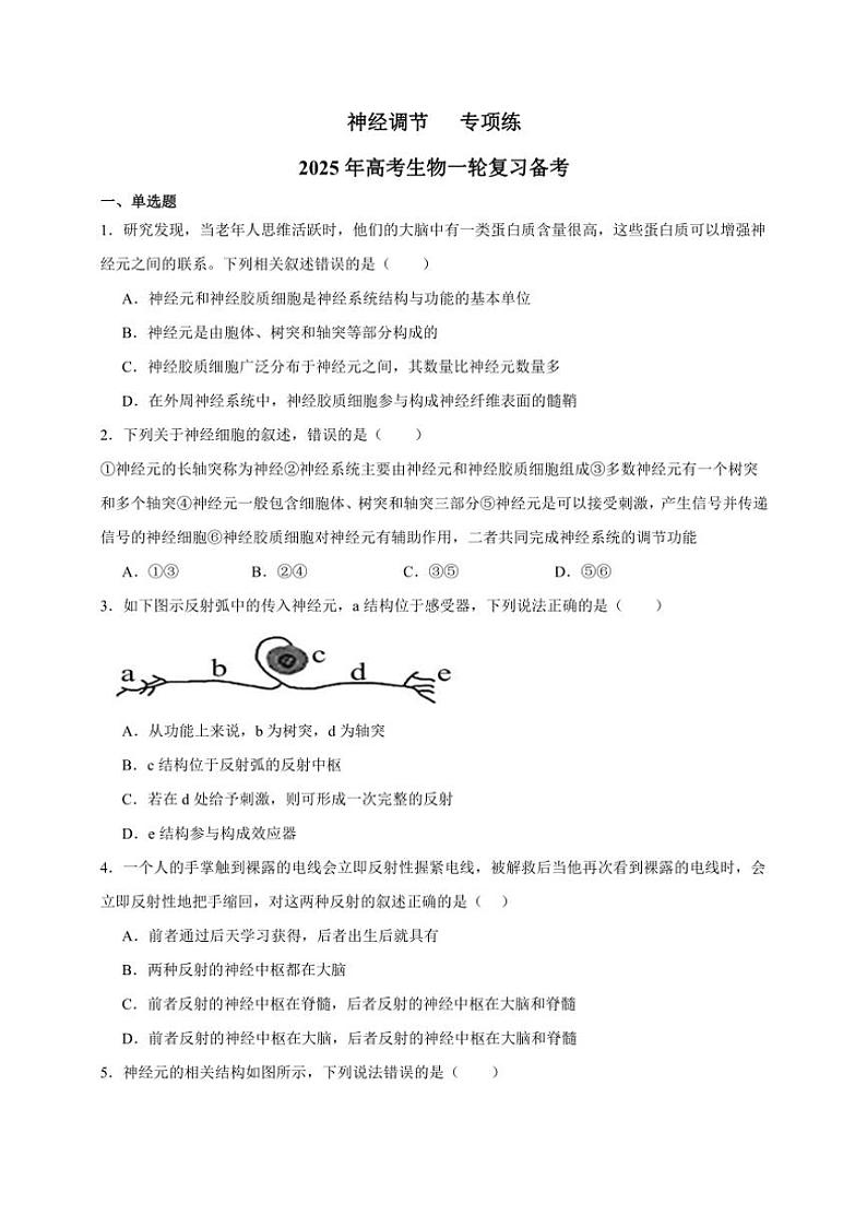 2025年高考生物一轮复习 神经调节 专项练01