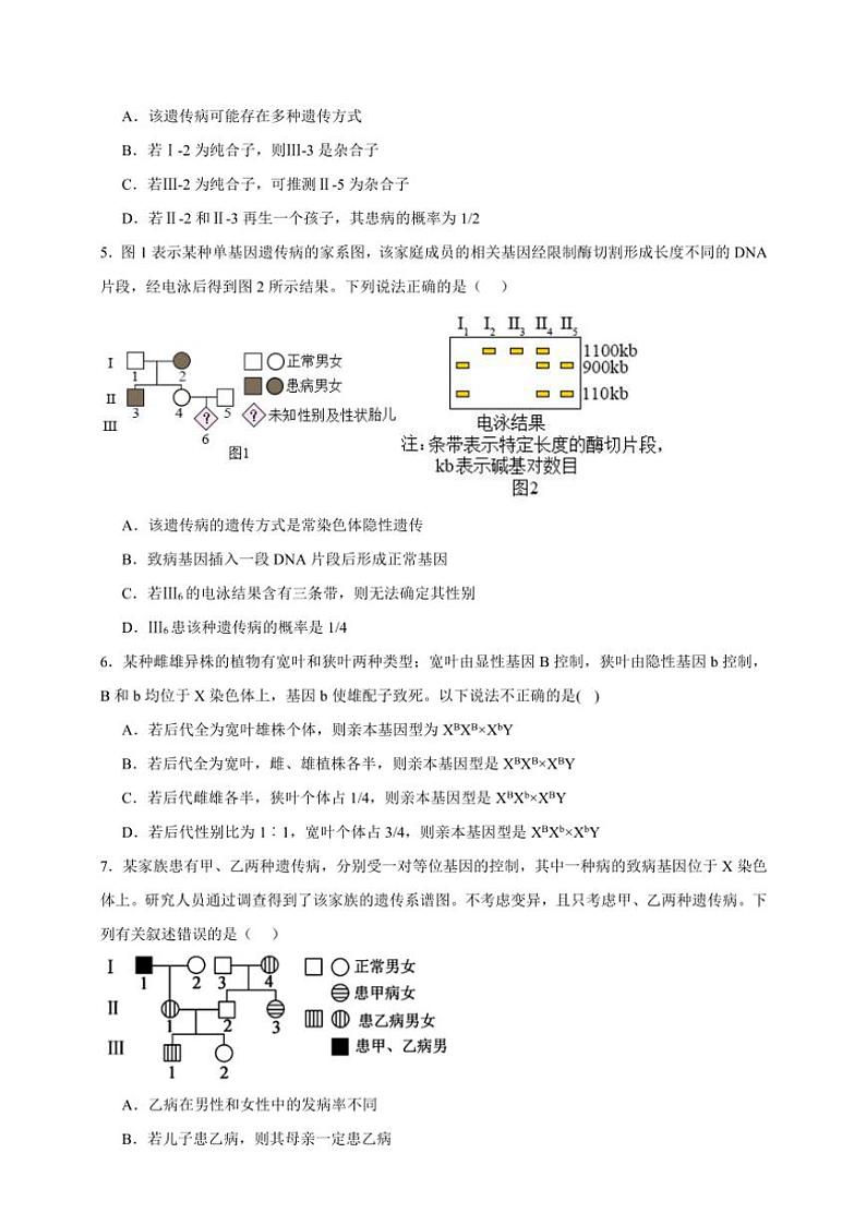 2025年高考生物一轮复习 伴性遗传和人类遗传病 基础练第2页
