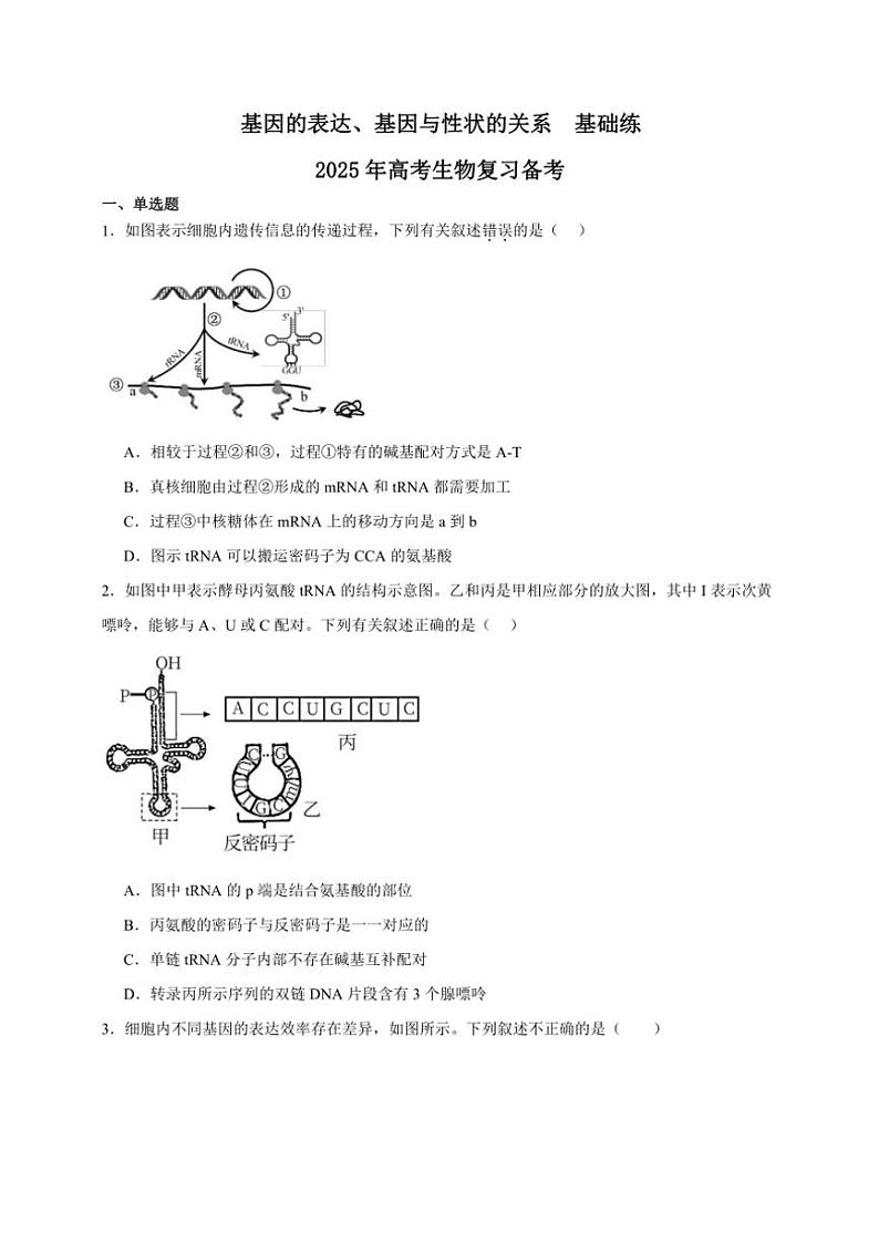 2025年高考生物一轮复习 基因的表达、基因与性状的关系 基础练第1页
