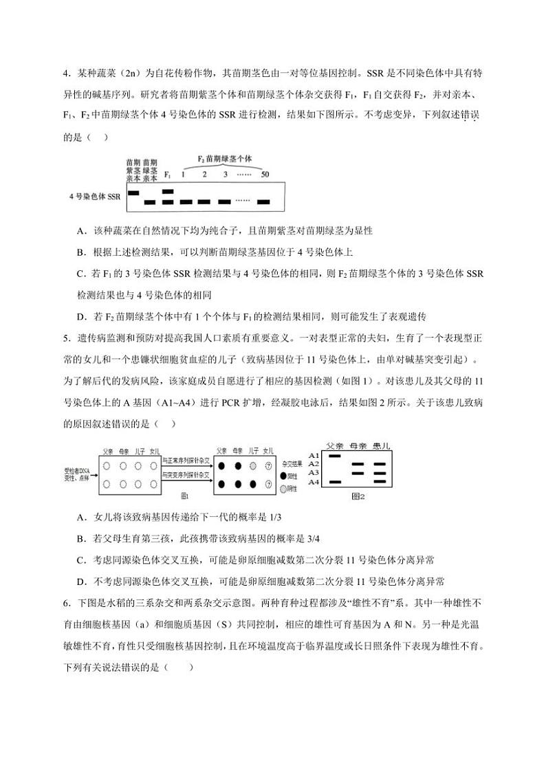 2025年高考生物一轮复习 遗传的基本规律 综合练第2页