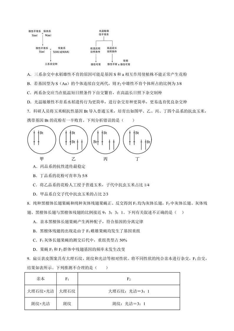 2025年高考生物一轮复习 遗传的基本规律 综合练第3页