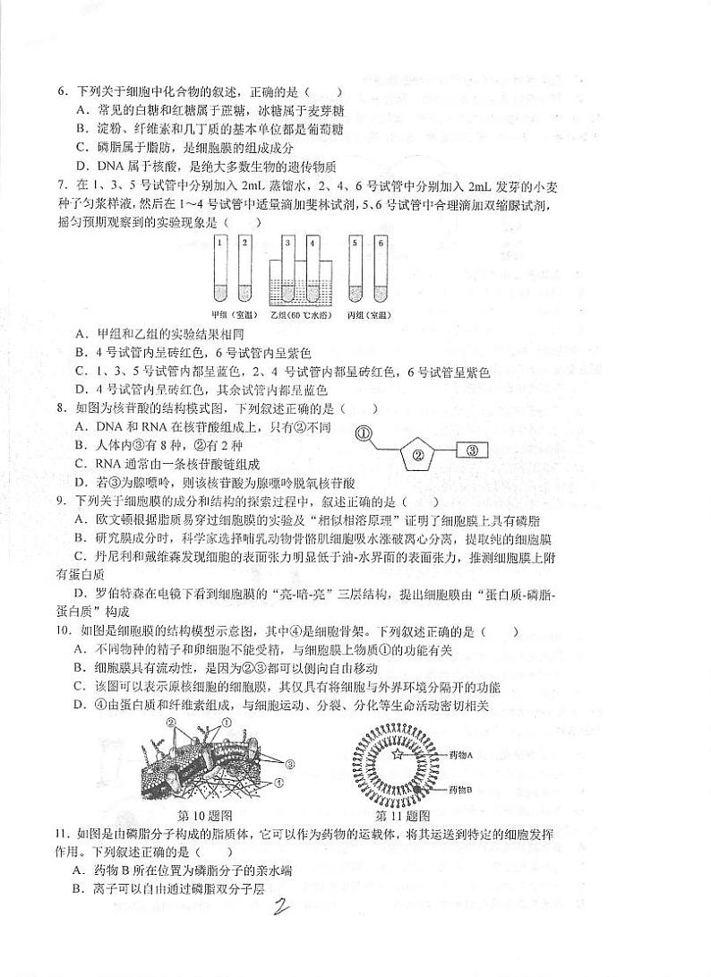 江苏省泰州市海陵区江苏省泰州中学2024-2025学年高一上学期11月期中生物试题(001)第2页