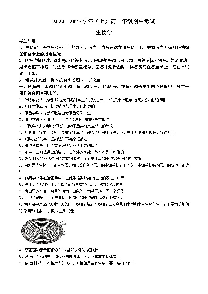 河南省新乡市封丘县天一大联考2024-2025学年高一上学期期中考试生物试题第1页