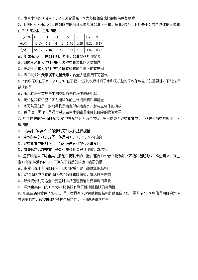 河南省新乡市封丘县天一大联考2024-2025学年高一上学期期中考试生物试题第2页