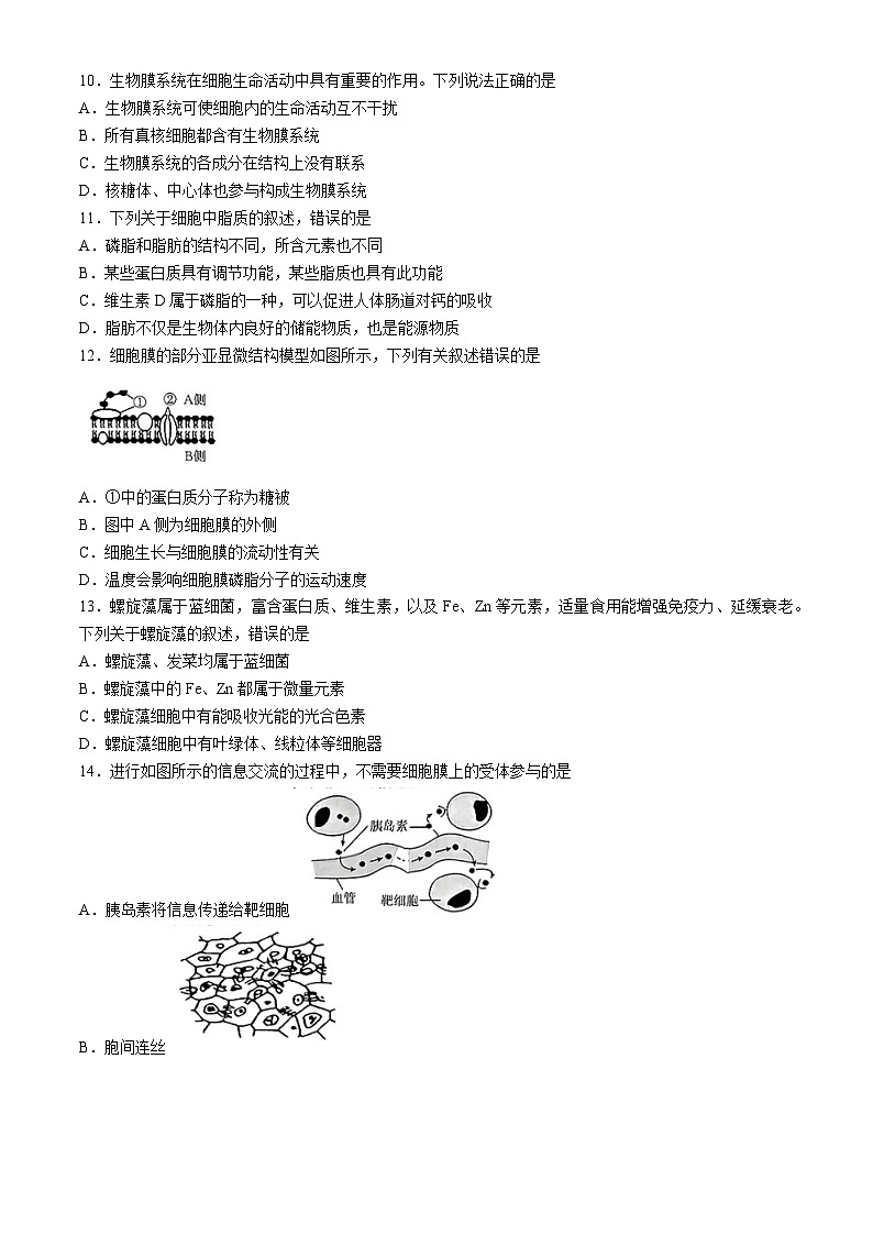 内蒙古赤峰市名校2024-2025学年高一上学期期中联考生物试题第2页