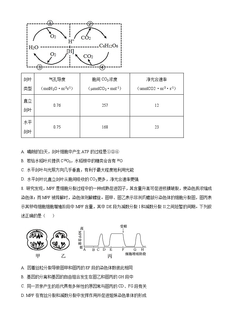 2025届四川省绵阳市高三一诊生物试卷无答案第3页