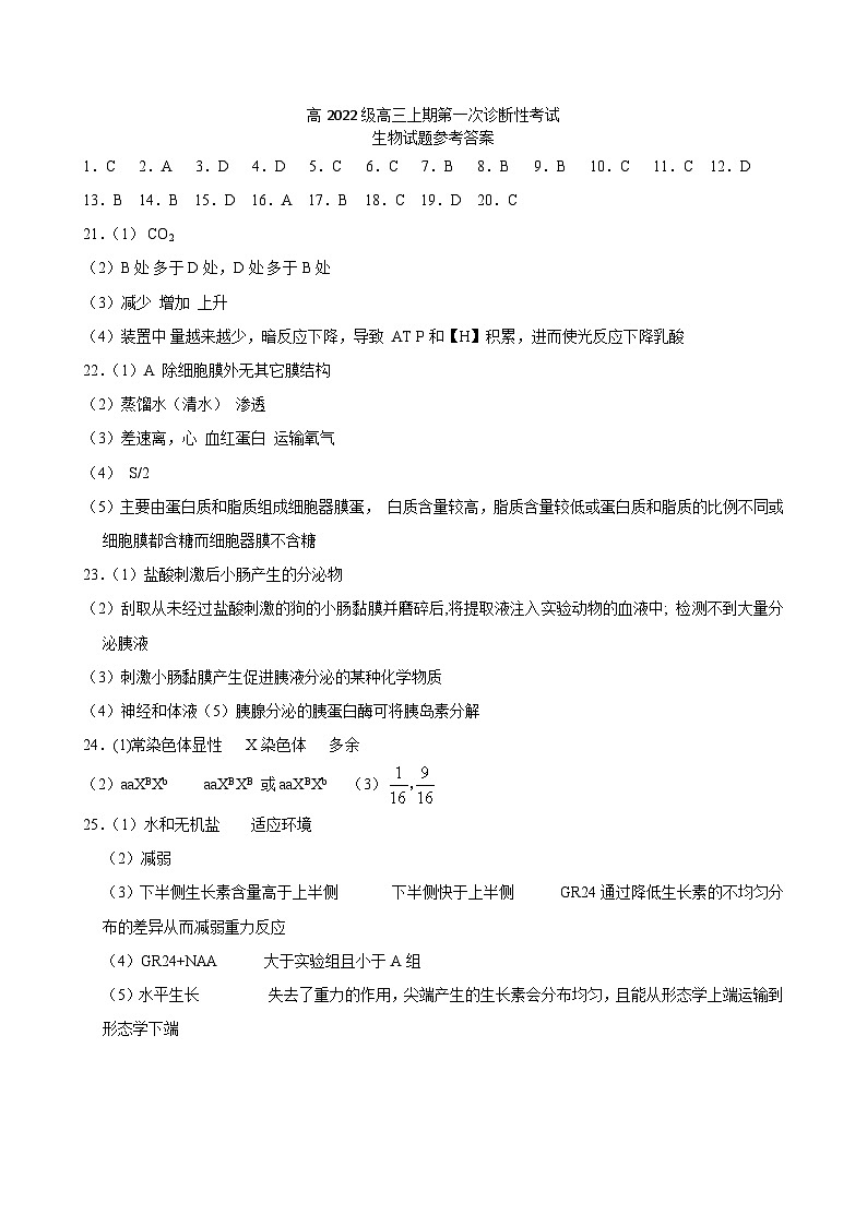 四川省泸县第五中学2024—2025学年高三上学期第一次诊断性考试生物试题答案第1页
