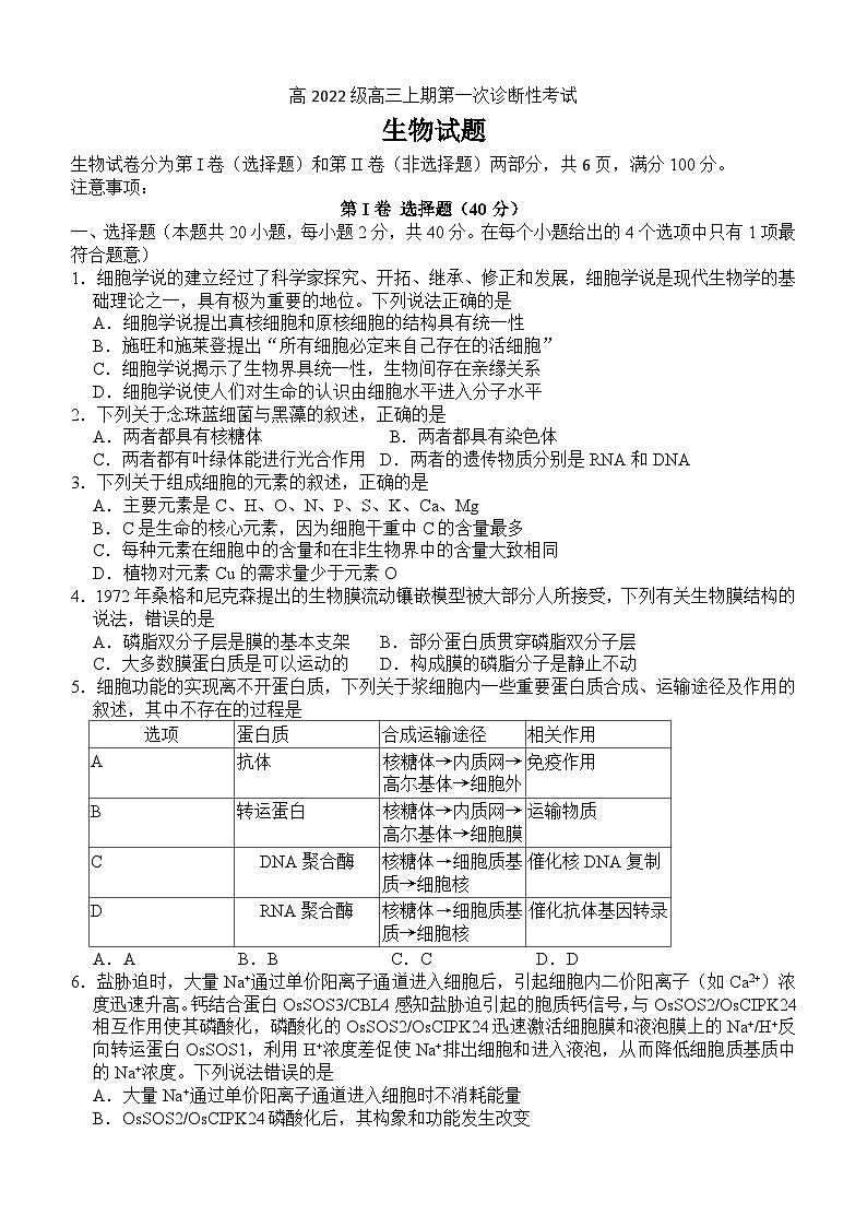 四川省泸县第五中学2024—2025学年高三上学期第一次诊断性考试生物试题第1页
