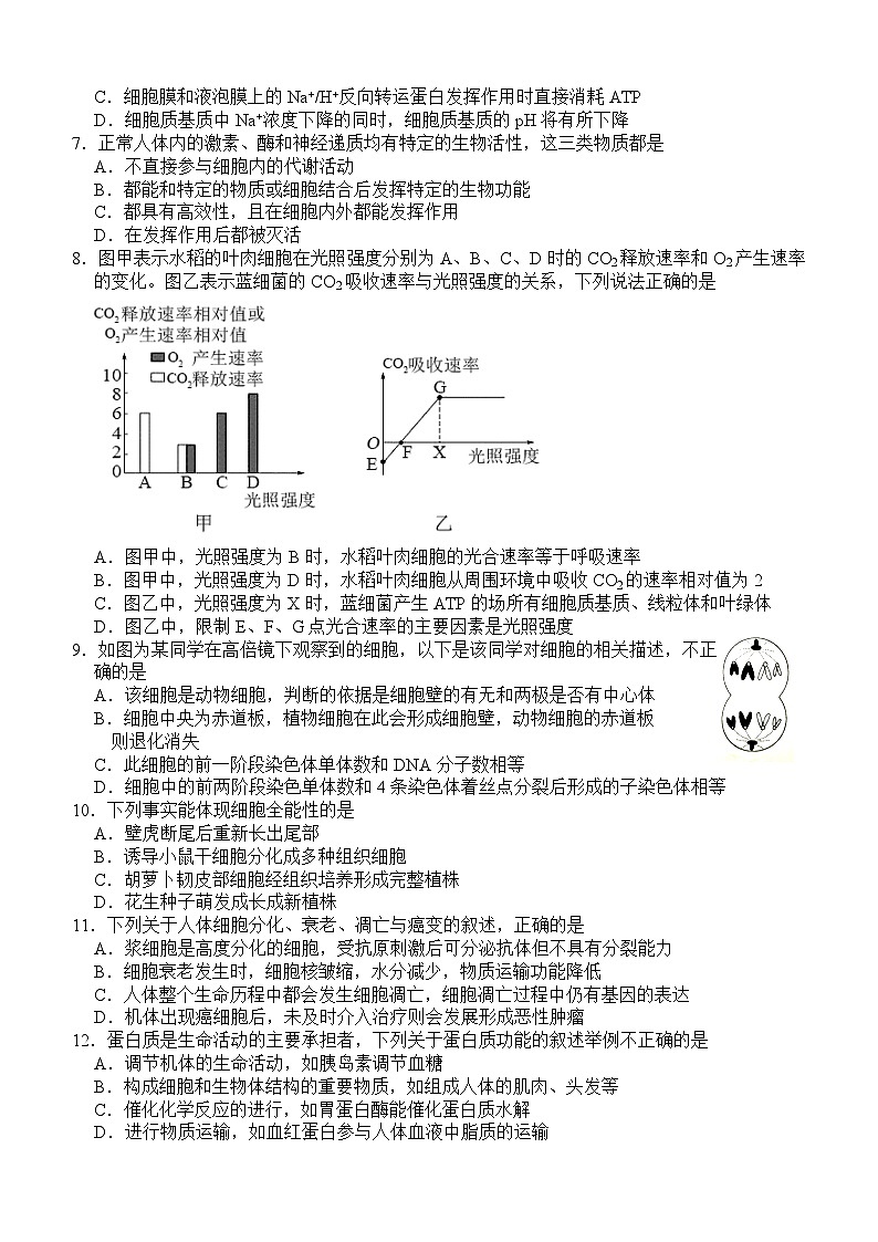 四川省泸县第五中学2024—2025学年高三上学期第一次诊断性考试生物试题第2页