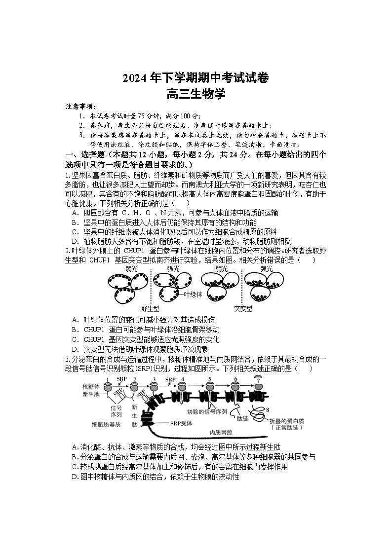 湖南省邵阳市武冈市2024-2025学年高三上学期期中考试生物试题第1页