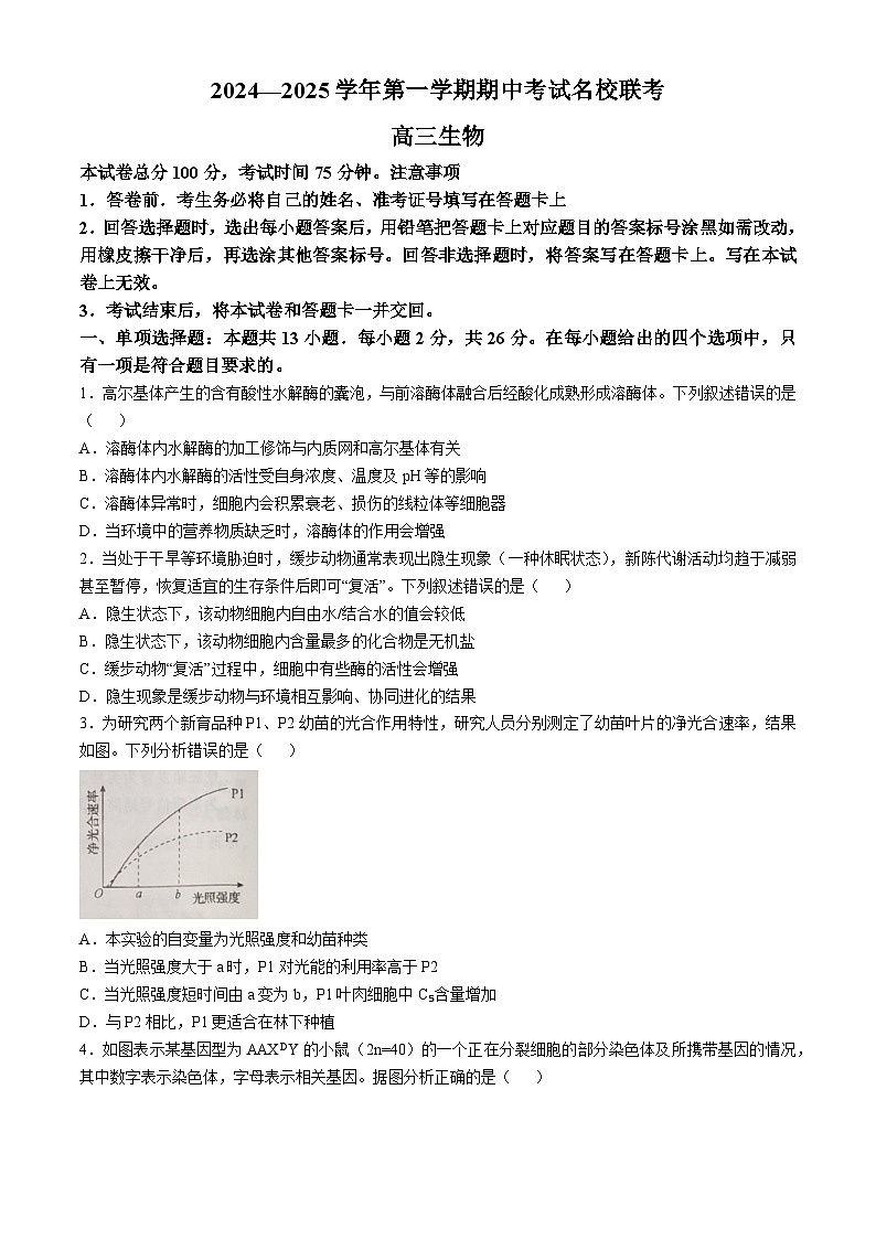 2025邯郸部分学校高三上学期11月期中联考试题生物含解析第1页