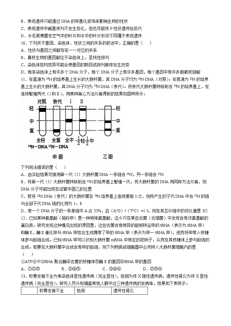2025沈阳郊联体高三上学期11月期中考试生物含答案第3页