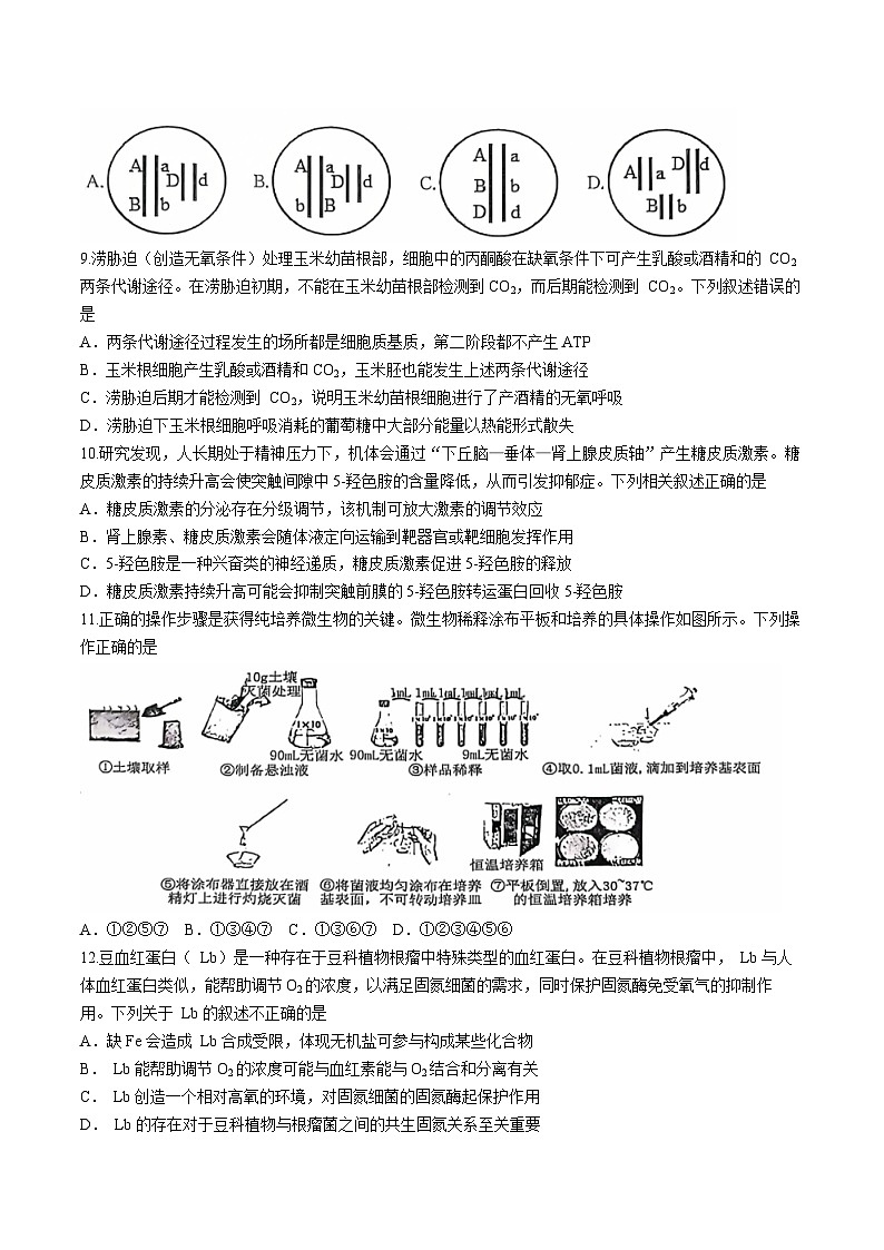 2025武汉江岸区高三上学期11月调考试题生物含答案第3页