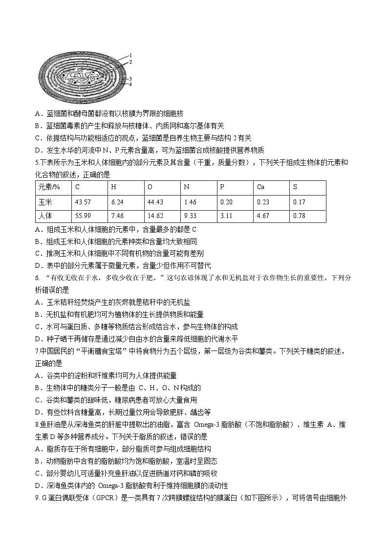 河南省部分学校2024-2025学年高一上学期11月期中联考生物试题第2页