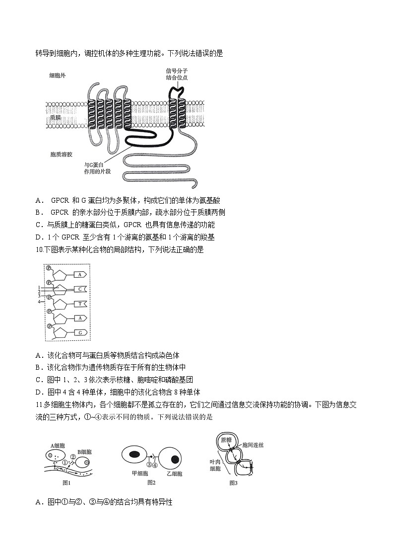 河南省部分学校2024-2025学年高一上学期11月期中联考生物试题第3页